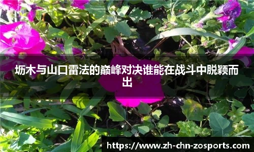 中欧体育官方网站