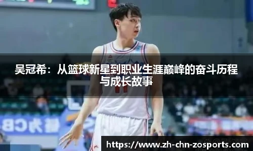 中欧体育官方网站